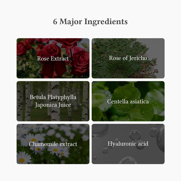 Dr.Althea Oasis soothing mask