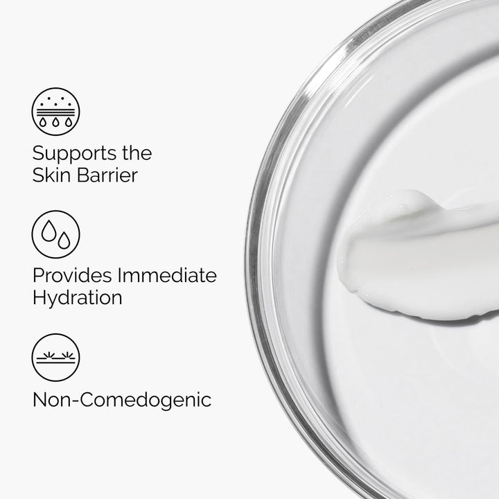 The Ordinary Natural Moisturizing Factors + HA 100ml