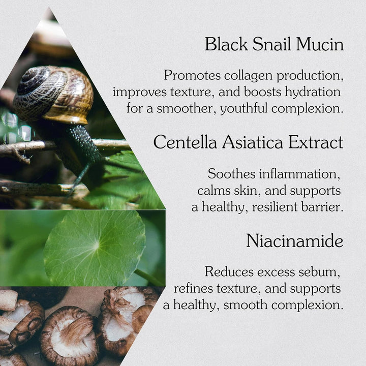 MIZON Black Snail All in One Cream 2.53 fl. oz, 75ml